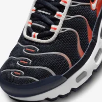 Nike Air Max Plus Big детские Кроссовки синий