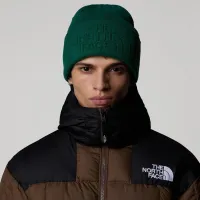 Шапка The North Face Urban Embrossed Beanie 0A7WJHNL11 - зеленая