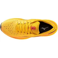 Чоловічі Кросівки для бігу MIZUNO WAVE SKYRISE 5 (J1GC240902)