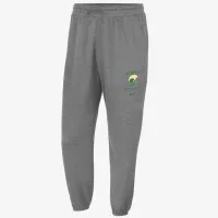 Norfolk State Standard Issue мужские Nike College Fleece Joggers цвет серый