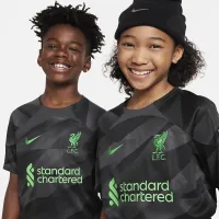 Liverpool FC 2023/24 Stadium Goalkeeper Big детские Nike Dri-FIT Short-Sleeve Soccer Jersey цвет серый