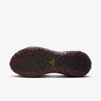 Nike ACG Mountain Fly 2 Low GORE-TEX чоловічі Кросівки колір коричневий