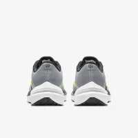 Nike Winflo 10 мужские Road Running Кроссовки цвет серый