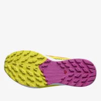 Кроссовки Salomon Sense Ride 5 L47459000 - разноцветная
