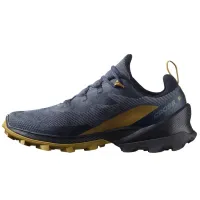Кроссовки для треккинга SALOMON CROSS OVER 2 GTX Gore-Tex (475602)