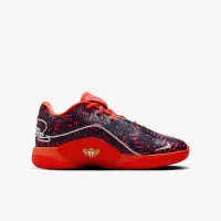 Nike LeBron XXII SE Big детские баскетбольные Кроссовки синий