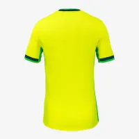 Washington Spirit 2025 Stadium Away чоловічі Nike Dri-FIT NWSL Replica Jersey Yellow