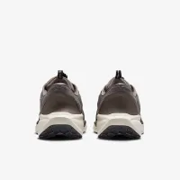Nike Pegasus EasyOn чоловічі Road Running Кросівки колір сірий