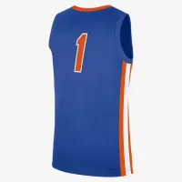 Nike Florida Gators Replica чоловічі Jordan Brand College баскетбольні Jersey блакитний