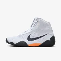 Nike Tawa SE мужские Wrestling Кроссовки многоцветный