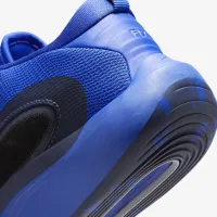 Nike IsoFly Big детские баскетбольные Кроссовки синий