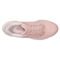 Кроссовки Nike WMNS AIR ZOOM PEGASUS 39 (DH4072 601)