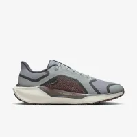 Nike Pegasus 41 GORE-TEX чоловічі Waterproof Road Running Кросівки колір сірий