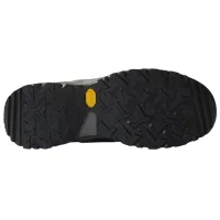 Кроссовки для треккинга Мужские THE NORTH FACE HEDGEHOG GTX Gore-Tex (NF0A8AA9BQW1)