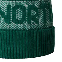 Шапка The North Face Retro Cabin 0A88QW84O1 - зеленая