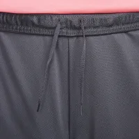 Nike Strike чоловічі Dri-FIT Soccer шорти колір сірий