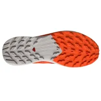 Кросівки для бігу Чоловічі Salomon SENSE RIDE 5 (470462)
