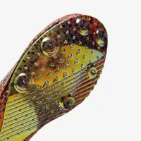 Nike Maxfly 2 Electric Track & Field Sprinting Spikes многоцветный