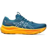 Кросівки для бігу Чоловічі ASICS GT-2000 14 (1011C056 404)