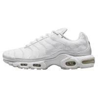 Кросівки Чоловічі NIKE AIR MAX PLUS (AJ2029 100)