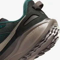 Nike Air Zoom Pegasus 41 SP чоловічі Кросівки колір сірий