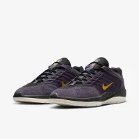 Nike SB Vertebrae чоловічі Кросівки колір фіолетовий