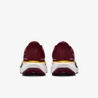 Nike Pegasus 41 NFL Washington Commanders чоловічі Road Running Кросівки колір червоний