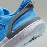 Nike Jordan DAY1 EO Big дитячі Кросівки блакитний