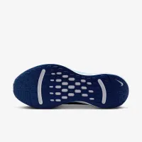 Nike Journey Run чоловічі Road Running Кросівки колір сірий