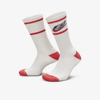 Nike Everyday Plus Cushioned Crew шкарпетки (2 пар) різнокольорові