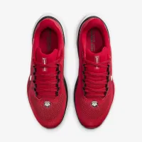 Georgia Pegasus 41 чоловічі Nike College Road Running Кросівки колір червоний