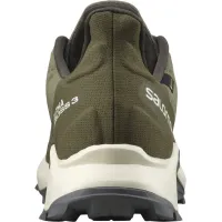 Кроссовки Мужские SALOMON ALPHACROSS 3 GTX Gore-TEX (413595)