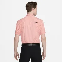 Nike Tour мужские Dri-FIT ADV для гольфа Polo цвет коричневый