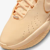 Nike LeBron XXI 