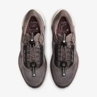 Nike Pegasus EasyOn чоловічі Road Running Кросівки колір сірий