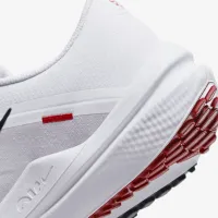 Nike Winflo 10 чоловічі Road Running Кросівки колір білий