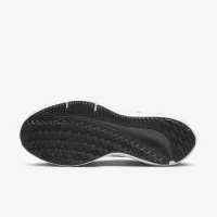 Nike Winflo 10 мужские Road Running Кроссовки цвет серый