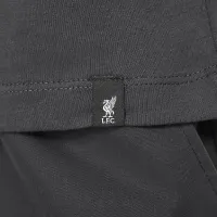 Liverpool FC Swoosh Big детские Nike Soccer футболка цвет серый