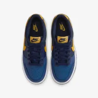 Nike Dunk Low Big дитячі Кросівки блакитний