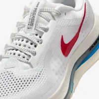Nike Pegasus Premium женская Road Running Кроссовки цвет белый