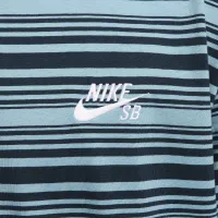 Nike SB Max90 Skate футболка блакитний