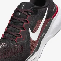 Nike Pegasus 41 NFL Atlanta Falcons мужские Road Running Кроссовки цвет черный