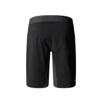 Шорты The North Face Felik 0A825XK1C1 - серо-черные