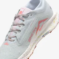 Nike Pegasus Trail 5 GORE-TEX женская Waterproof Trail Running Кроссовки цвет серый