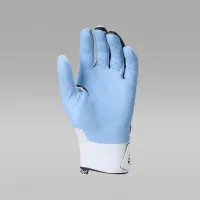 Nike Jordan Fly Elite Batting Gloves (1 пара) блакитний