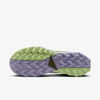 Nike Wildhorse 8 мужские Trail Running Кроссовки цвет серый