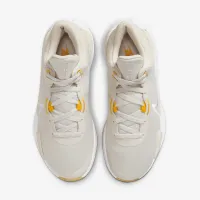 Nike Elevate 3 баскетбольные Кроссовки цвет серый
