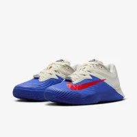 Nike Vapor Pro 3 Premium мужские Hard Court Tennis Кроссовки цвет фиолетовый