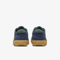 Nike SB Force 58 Skate Кросівки блакитний