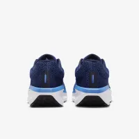 Nike Winflo 11 чоловічі Road Running Кросівки блакитний
